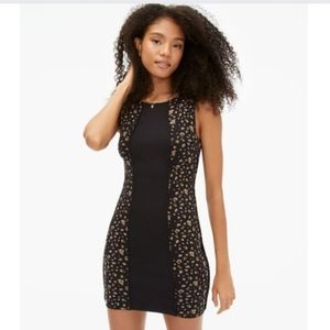 AEROPOSTALE Size. Small Floral Bodycon Dress